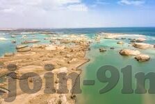 2021国产麻豆传媒-展望2021，国产麻豆传媒的崛起与行业新貌
