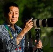 麻豆91av在线观看-纵情于影像的魅力——麻豆91av观看体验揭秘